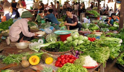 Để có thực phẩm an toàn phải thay đổi tư duy từ sản xuất đến tiêu dùng (16/01/2016)